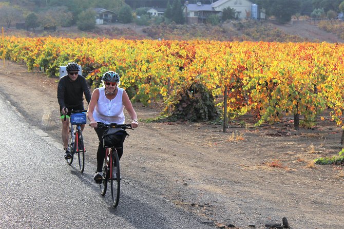Guided Healdsburg Wine Country Bike and Wine Tasting Tour with lunch - Price and value: what $209 buys you (and what it doesn’t)