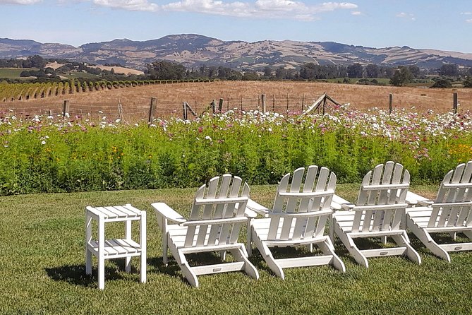 Guided Healdsburg Wine Country Bike and Wine Tasting Tour with lunch - Who should book this Healdsburg bike-and-wine tour