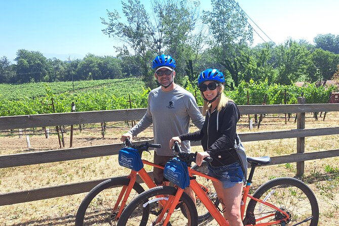 Guided Healdsburg Wine Country Bike and Wine Tasting Tour with lunch - Picnic lunch among the vines: more than a token sandwich