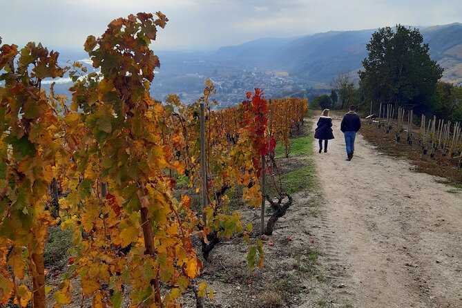 Guided tour and wine tasting Northern Rhône Valley - Quick hits before you go