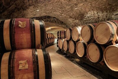 Guided tour and wine tasting Northern Rhône Valley - Chavanay tasting stop: your first 4–6 pours