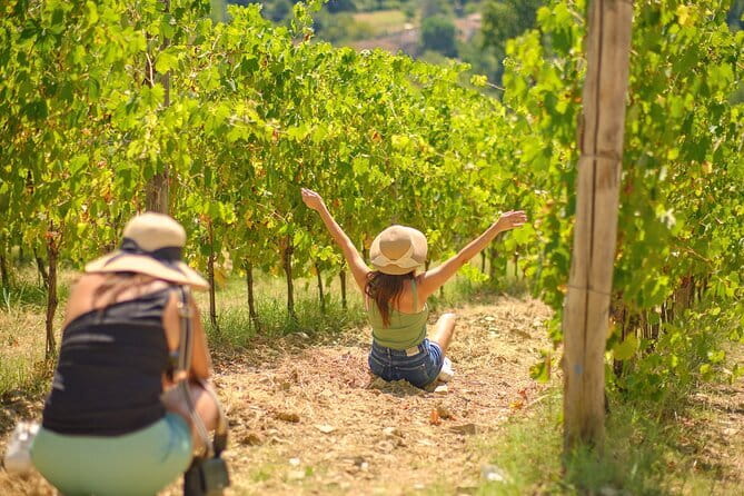 Half day Chianti Vineyard Escape from Florence with Wine Tastings - Key Things You’ll Notice