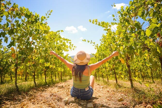 Half day Chianti Vineyard Escape from Florence with Wine Tastings - Getting to Chianti: The Coach Ride That Sets the Tone