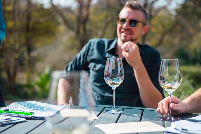 Half-Day Hill Country Wine Shuttle From Austin - The real highlight: your driver-guide and the vibe on the van