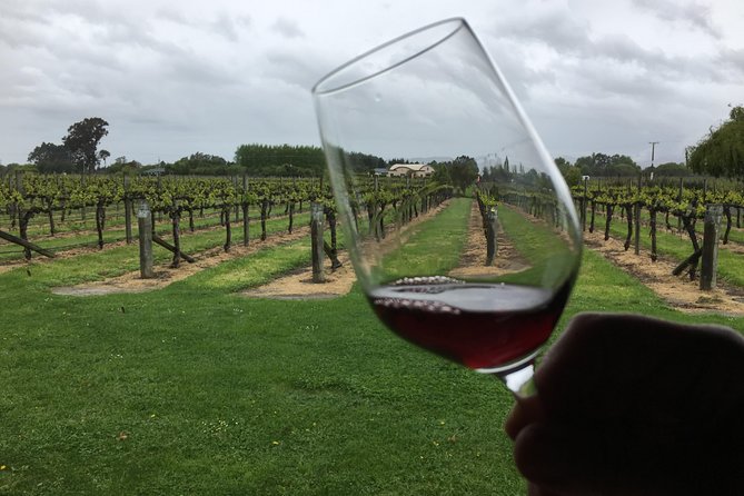 Half-Day Marlborough Wine Tour & Beer Tour - Marlborough wine-and-beer half day: the simple plan that works