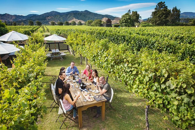 Half-Day Marlborough Wine Tour & Beer Tour - Winery stop 3: Hunters Wines Cellar Door & Wine Shop (gardens and outdoor tasting)