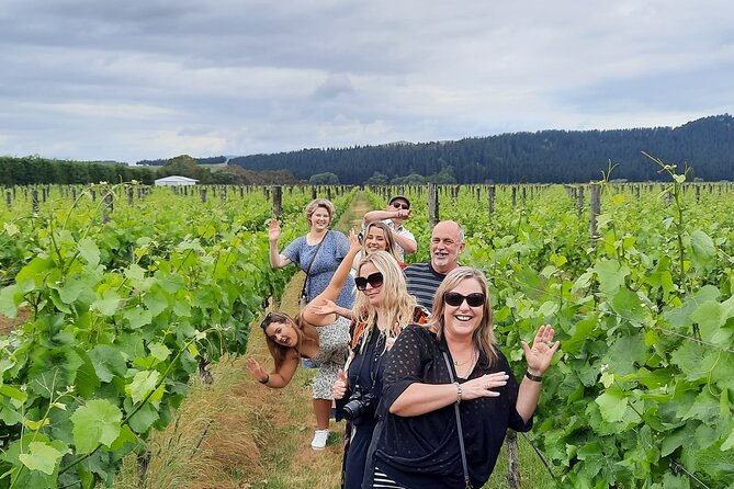 Half Day Martinborough Winery Tour from Wellington - Martinborough’s Three Cellar Doors: How the Tastings Feel in Real Life