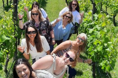 Half Day Martinborough Winery Tour from Wellington - The Quick Detour at C’est Cheese (And Why It Works)