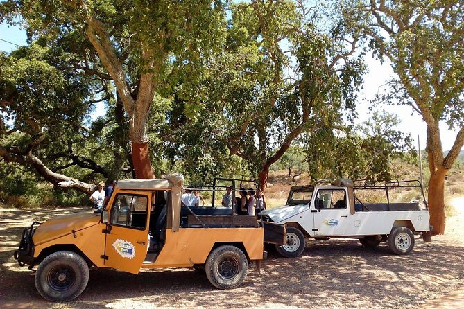 Half Day Safari Tour with Wine Tasting - Pickup, Timing, and What the Jeep Ride Feels Like