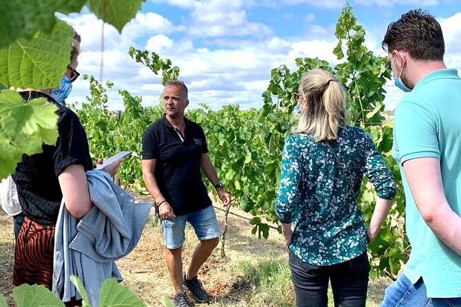 Half Day Safari Tour with Wine Tasting - What You Actually Eat (So You Don’t Show Up Hungry)