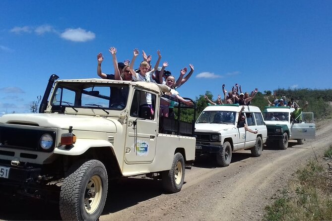 Half Day Safari Tour with Wine Tasting - Guides, Vibes, and Why People Remember the Crew