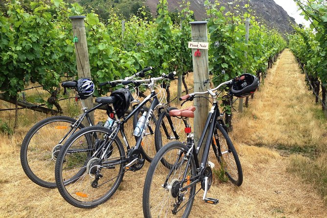 Half-Day Self-Guided Ride and Wine Bike Tour from Arrowtown - Key points you shouldn’t miss