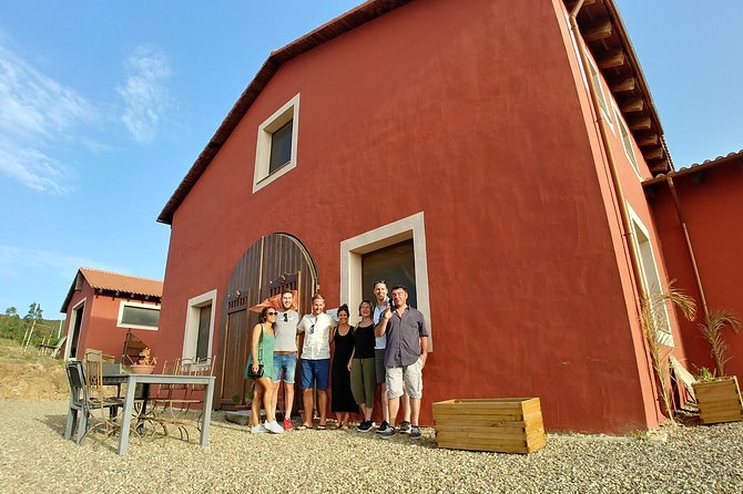 Half-Day Small-Group Wine Experience with Wine Expert from Cagliari - The tasting spread: more than just wine