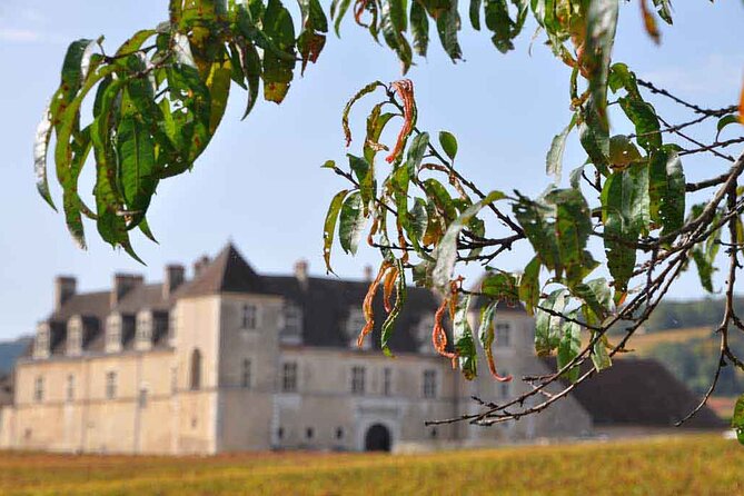 Half Day Tour of the Cote de Nuits Vineyards from Dijon - Quick, useful takeaways before you go