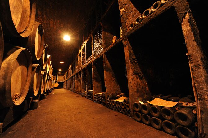 Half Day Tour of the Cote de Nuits Vineyards from Dijon - The vineyard and heritage stroll: why the walking part matters