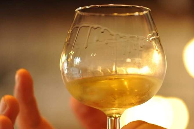 Half Day Tour of the Cote de Nuits Vineyards from Dijon - Who this tour fits best (and who might want a different one)