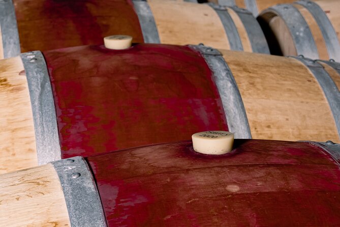 Half day tour Saint-Emilion : Village & Château with wine tasting - Stop 2: Vineyard drive with Bordeaux wine talk