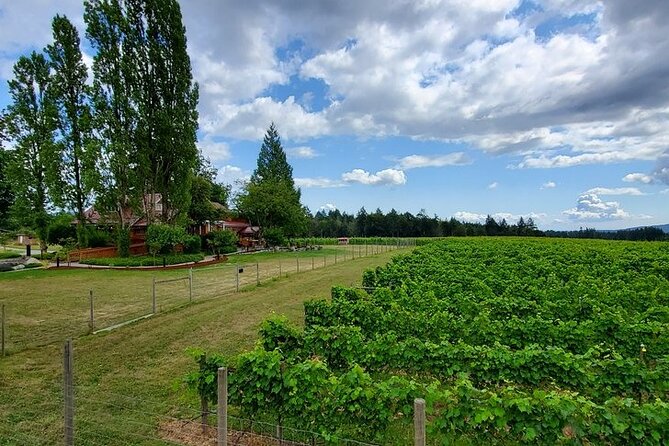 Half-Day Victoria to Cowichan Valley Wine Tour with Tastings - Stop 1: Blue Grouse Estate and Vineyard, With Roots Back to 1977