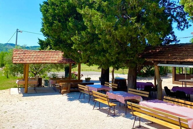 Half-Day Wine and Food Tasting from Dubrovnik - The rakija and grappa finish: how the day closes out