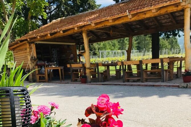 Half-Day Wine and Food Tasting from Dubrovnik - Cavtat Old Town after the winery: what you do with your free time