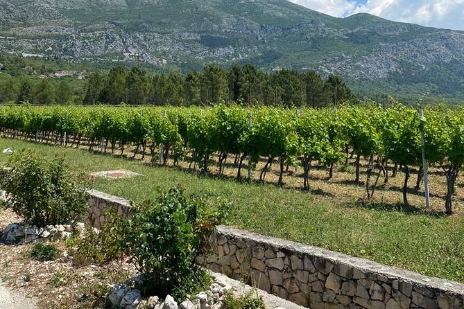 Half-Day Wine and Food Tasting from Dubrovnik - Price and value: is $120.94 really fair here?