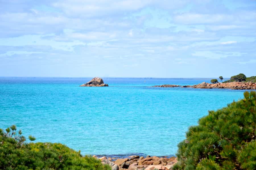 Half day Wine and Sights Discovery Tour Busselton - A Small-Group 4 Hours Around Margaret River’s Best Bits