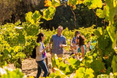 Half-Day Wine Country Tour from San Francisco - Stop 1 in Napa Valley: 2 hours and what to do with it