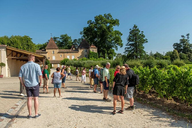 Half-Day Wine tour across Bordeaux’s Vineyards - Key highlights to know before you go
