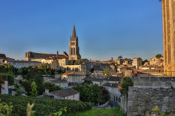 Half-Day Wine tour across Bordeaux’s Vineyards - Half-Day Wine Reality: How Much You’ll Actually Drink