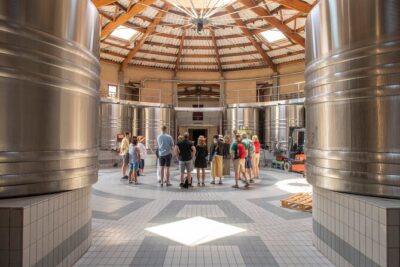 Half-Day Wine tour across Bordeaux’s Vineyards - Château Time in Saint-Émilion: Learning How Tasting Really Works