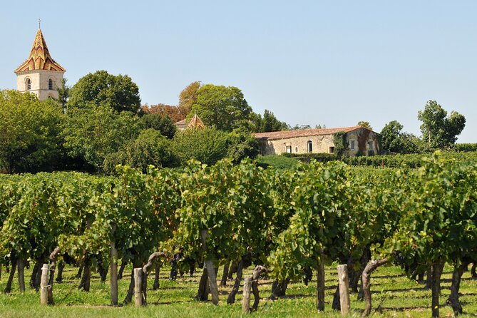 Half-Day Wine tour across Bordeaux’s Vineyards - Where You Go Depends on the Day: Saint-Émilion and Beyond