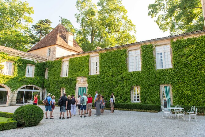 Half-Day Wine tour across Bordeaux’s Vineyards - Group Size, Timing, and the “Rushed vs Relaxed” Feeling