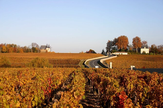 Half-Day Wine tour across Bordeaux’s Vineyards - What to Bring: Weather-Proof Yourself and Plan for No Food