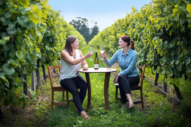 Half-Day Wine Tour from Picton - Key Highlights to Know Before You Go