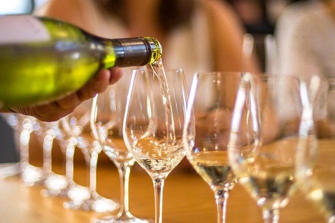 Half-Day Wine Tour from Picton - The Guide Factor: When the Drive Becomes Part of the Wine Lesson