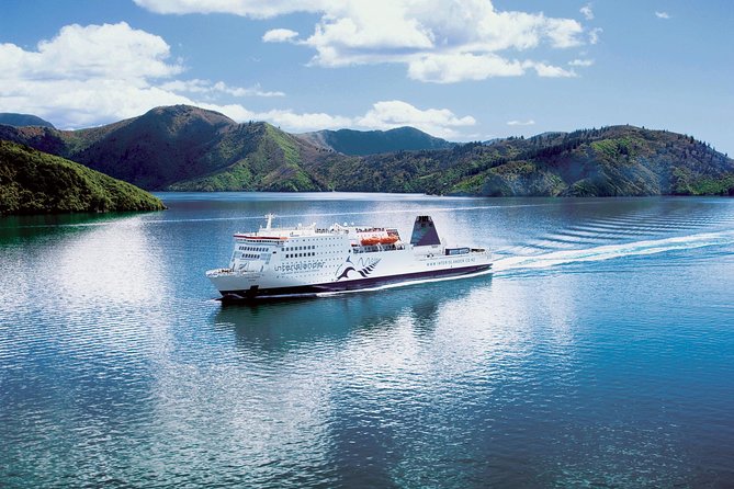 Half-Day Wine Tour from Picton - The Missing Piece: No Lunch Stop Means You Need a Smart Pre-Game Meal
