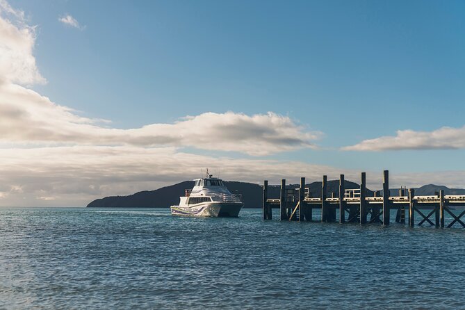 Half-Day Wine Tour from Picton - Price and Value: Is $114.81 a Person Actually Fair?