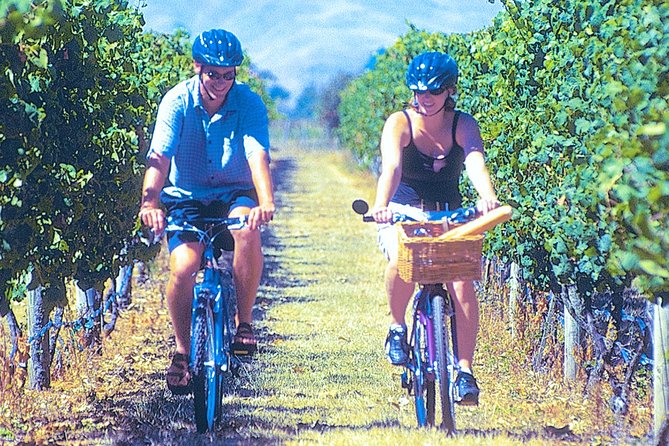 Hawkes Bay Wineries Self-Guided Bike Tour - Key highlights at a glance