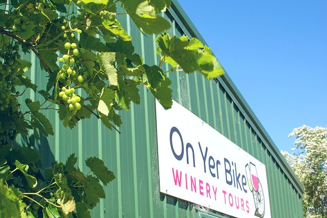 Hawkes Bay Wineries Self-Guided Bike Tour - Getting around wine country without a group