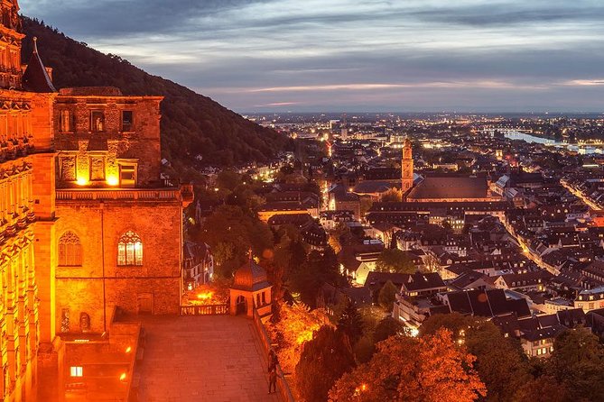 Heidelberg and Rhine Valley Day Trip With Wine Tasting and Dinner from Frankfurt - Price and logistics: where the value works and where it can feel thin