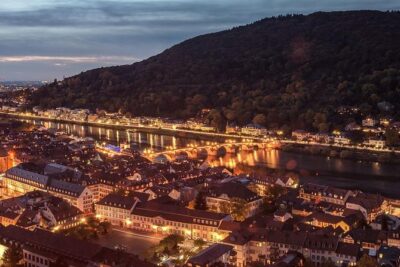 Heidelberg and Rhine Valley Day Trip With Wine Tasting and Dinner from Frankfurt - Rüdesheim dinner and wine tasting: included, but set expectations