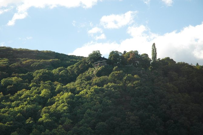 Heidelberg and Rhine Valley Day Trip With Wine Tasting and Dinner from Frankfurt - FAQ