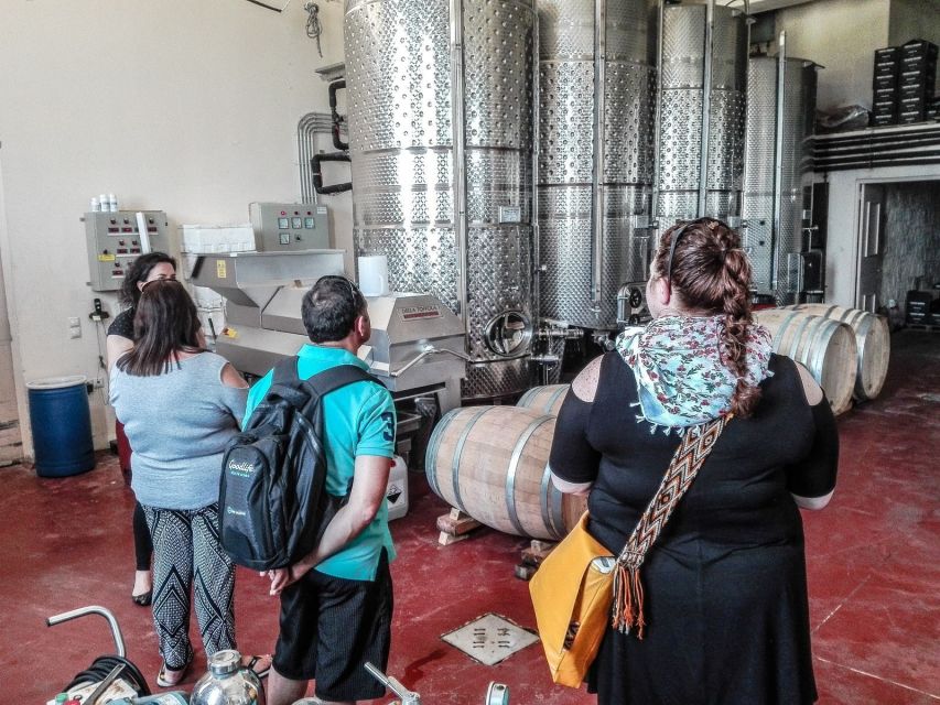 Heraklion: Cretan Wine Tasting Tour & Gourmet Lunch - Who should book this tour from Heraklion