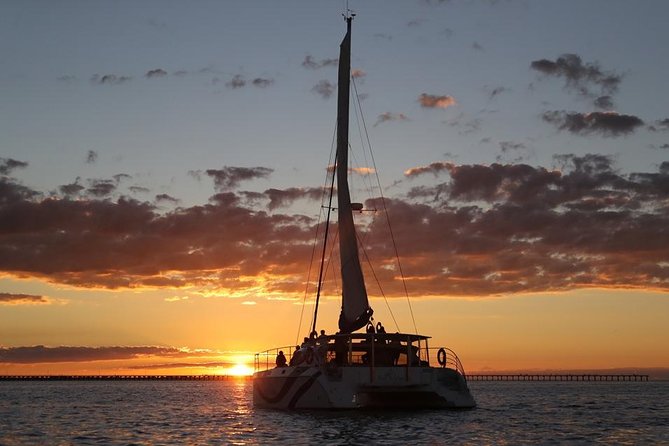 Hervey Bay Champagne Sunset Sail - Quick Highlights at a Glance