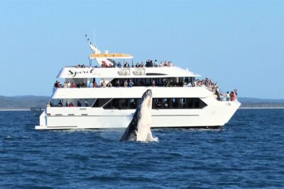 Hervey Bay Champagne Sunset Sail - What the 90 Minutes Feels Like on Board