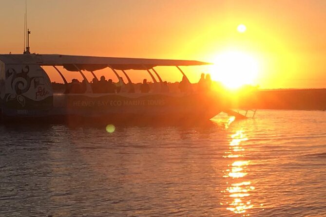 Hervey Bay Champagne Sunset Sail - Dolphins and Turtles in the Great Sandy Strait