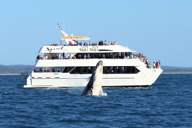 Hervey Bay Champagne Sunset Sail - What the 90 Minutes Feels Like on Board