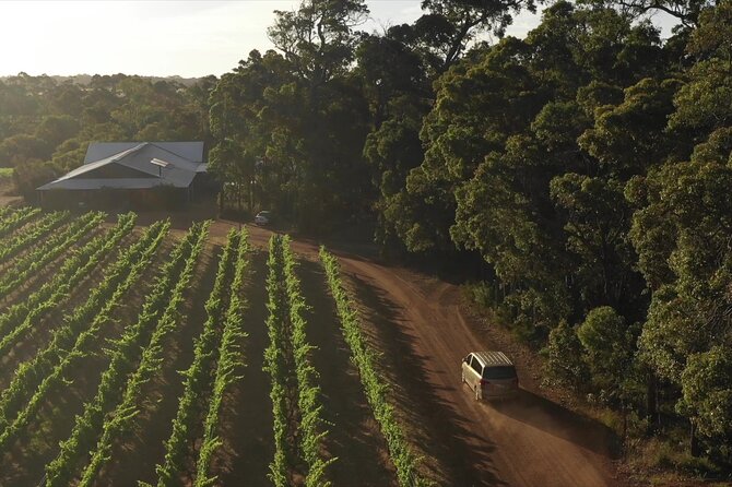 Hidden Gems: Boutique Full-Day Wine, Farm & Lunch Tour - Morning at Margaret River Hideaway & Farmstay: alpacas, emus, and scones