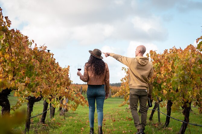 Hidden Gems: Boutique Full-Day Wine, Farm & Lunch Tour - Temper Temper Fine Chocolate: a quick hit of tasting and coffee culture