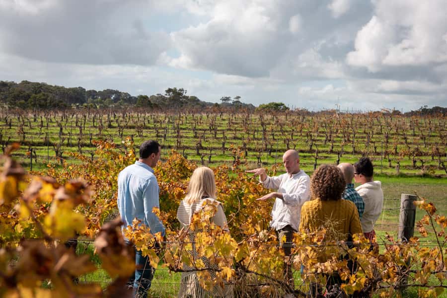 Hidden Gems Margaret River: Authentic Wine & Farm Experience - Cowaramup snack time: chocolate plus coffee and tea